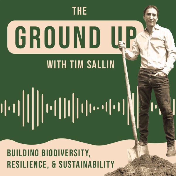 The Ground Up cover art